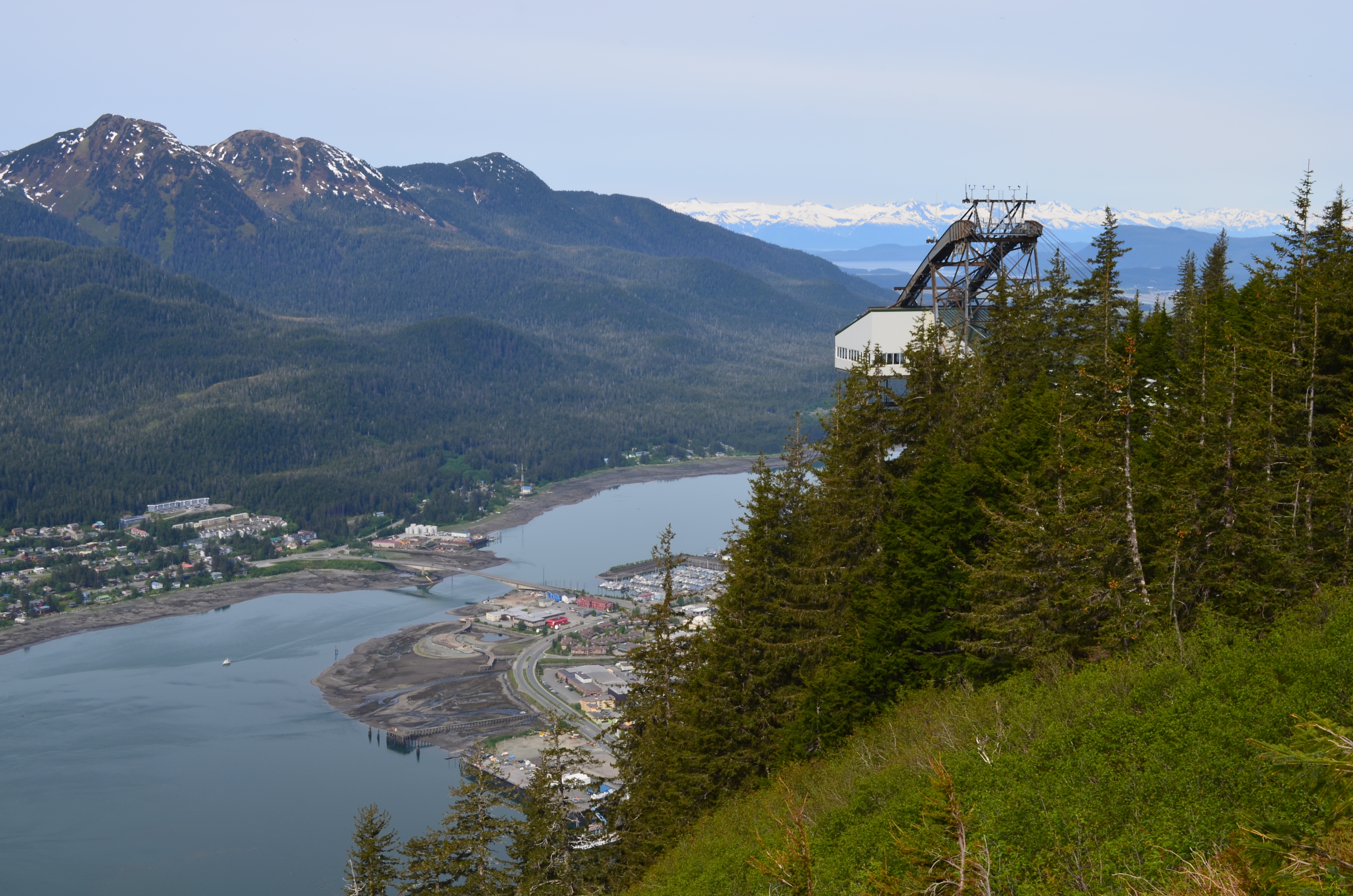 ./2017/08 - Alaska Cruise/08 - Juneau/DSC_0909.JPG